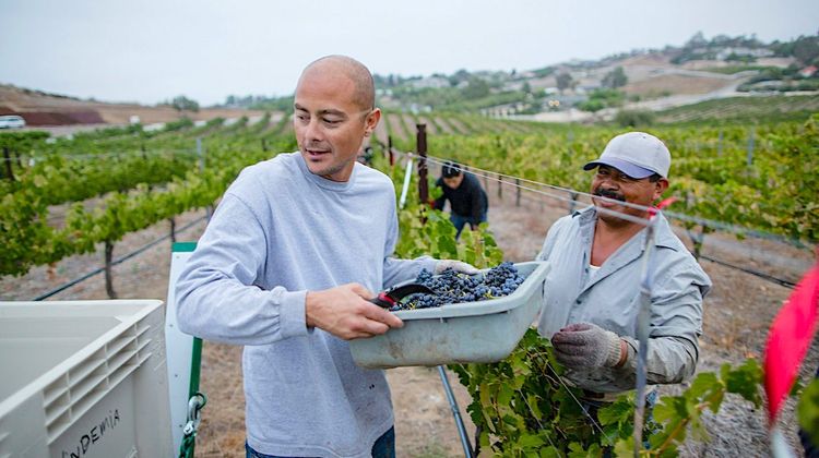 MIGRANTS – Une plateforme pour l’emploi agricole dans le 64